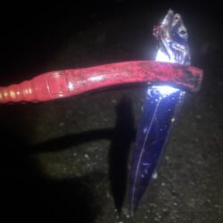 タチウオ釣り