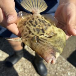 銅付き釣り