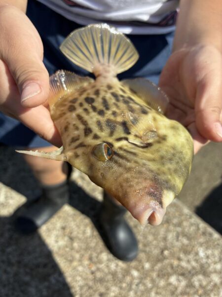 銅付き釣り