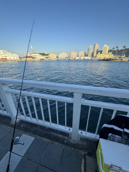 大潮の太刀魚釣り🎣