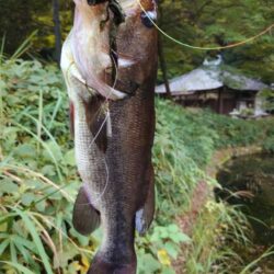 撃ちと巻きで
