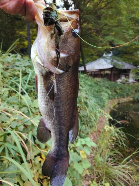 撃ちと巻きで