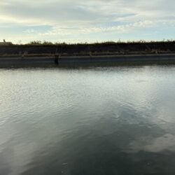 ハゼ釣り