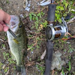 １０月なのに蒸暑い午後の釣り