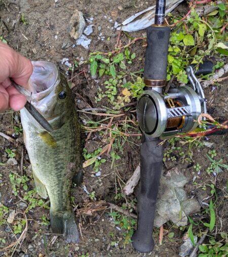 １０月なのに蒸暑い午後の釣り