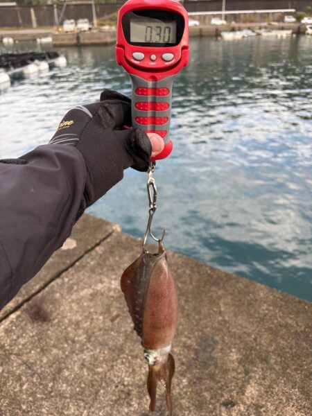 三重紀北釣行
