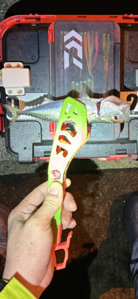 リベンジならず