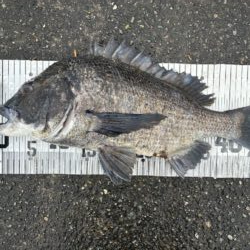 イチノ兄弟、釣果！