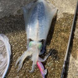 風裏しか勝たん