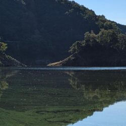 寒暖差が激しかった午前中