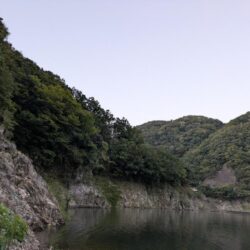 短時間の朝マズメ釣行