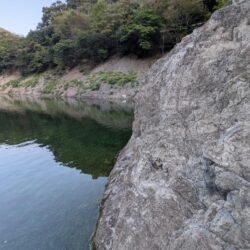 朝のちょい釣り