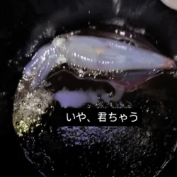 深夜のティップラン