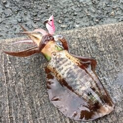 遠征釣行　2日目