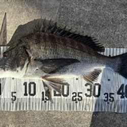 イチノ兄弟、釣果!