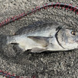 イチノ兄弟、釣果！