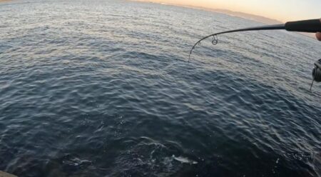 やっと釣れた