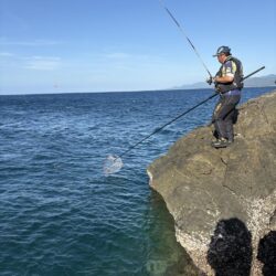 和歌山県串本・袋（かわばた渡船）でグレ釣り大会