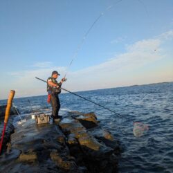 和歌山市江(吉丸渡船)でグレ釣り