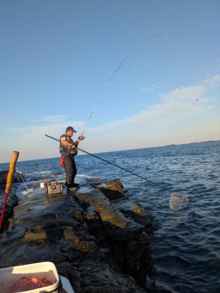 和歌山市江(吉丸渡船)でグレ釣り