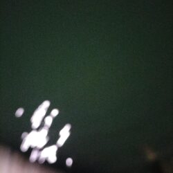 夜釣り