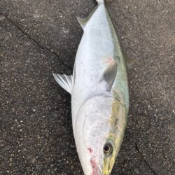 やってやったぜ‼️