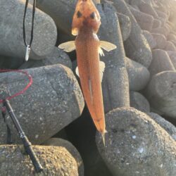 ショアジギング