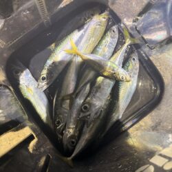 はじめての刀狩り
