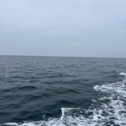 タチウオ狙いで