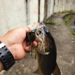 撃ちと巻きで