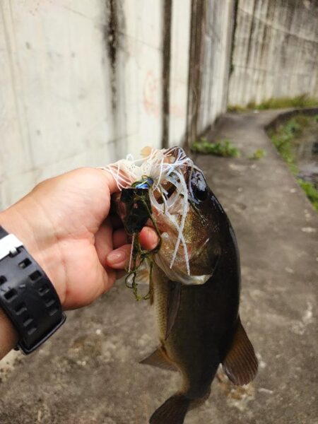 撃ちと巻きで