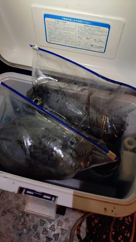 小潮なんざ関係無いティップラン