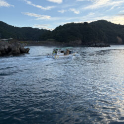 三重紀北釣行