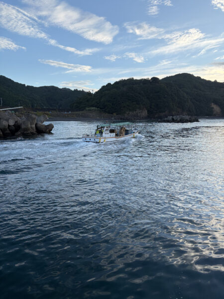 三重紀北釣行