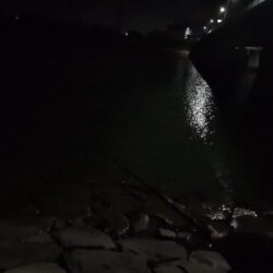 スズキの調査釣行