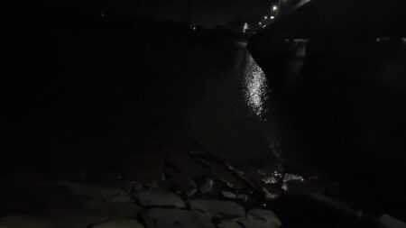 スズキの調査釣行