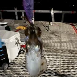風吹く中、どうやろ⁉️
