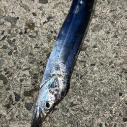 渋