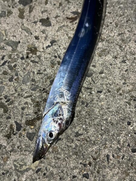 渋