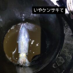 大雨風強ナイトティップラン
