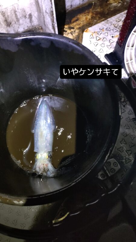 大雨風強ナイトティップラン