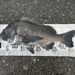 イチノ兄弟、釣果！