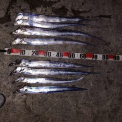 引き釣り 5