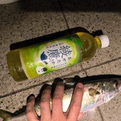 魚種豊富な六甲マリンパーク