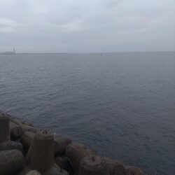 ブリの時合は遅し？