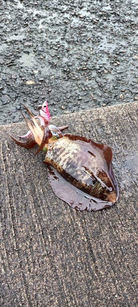遠征釣行　2日目