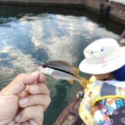 釣りデビュー🎣