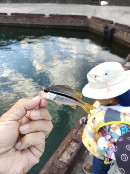 釣りデビュー🎣
