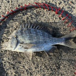 イチノ兄弟、釣果！