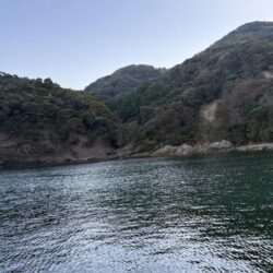 今日もアジ釣り